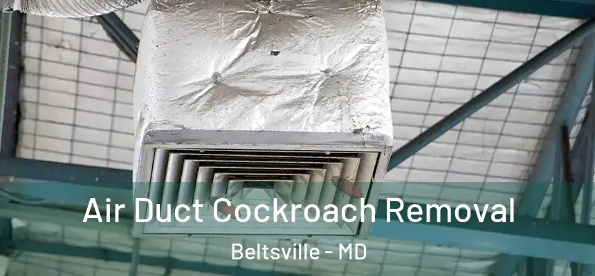  Air Duct Cockroach Removal Beltsville - MD