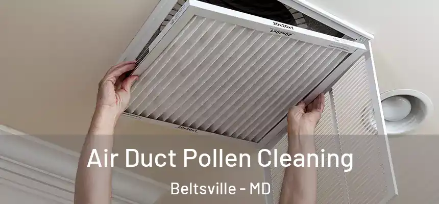  Air Duct Pollen Cleaning Beltsville - MD