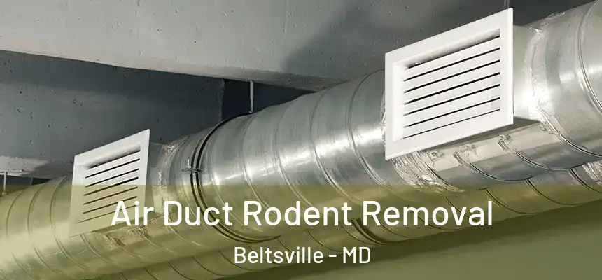  Air Duct Rodent Removal Beltsville - MD