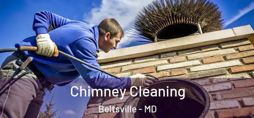  Chimney Cleaning Beltsville - MD
