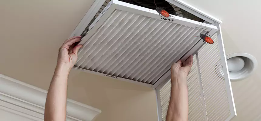 Preventive Cockroach-Proofing for Ducts in Beltsville