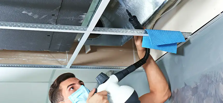 Our Air Duct Rodent Removal Services in Beltsville, MD
