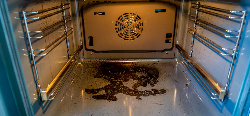 Our Dryer Vent Mold Cleaning Services in Beltsville, MD