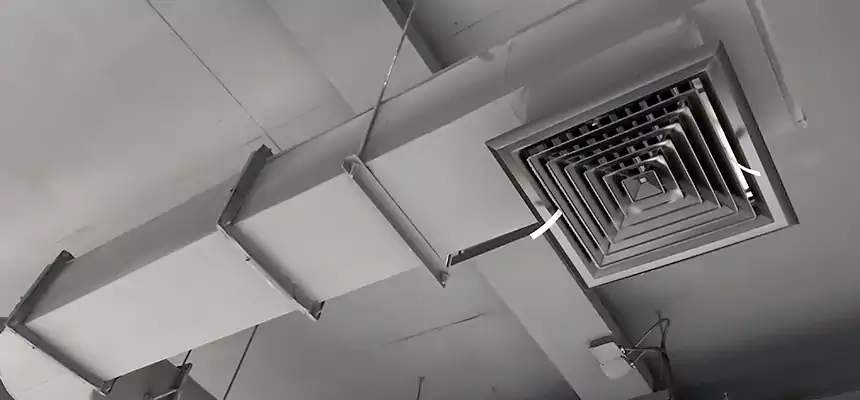 Our Pest Removal From Ducts Services in Beltsville, MD