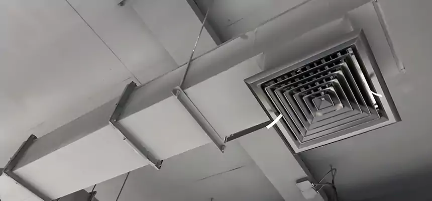 Our Rodent Droppings In Vents Services in Beltsville, MD