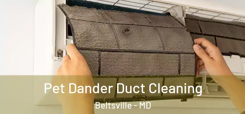  Pet Dander Duct Cleaning Beltsville - MD