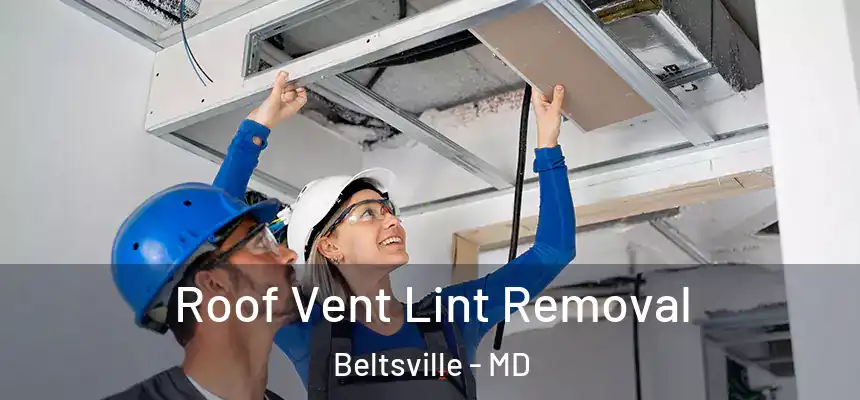  Roof Vent Lint Removal Beltsville - MD