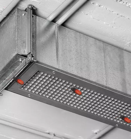 About Air Duct Cockroach Removal in Beltsville, MD