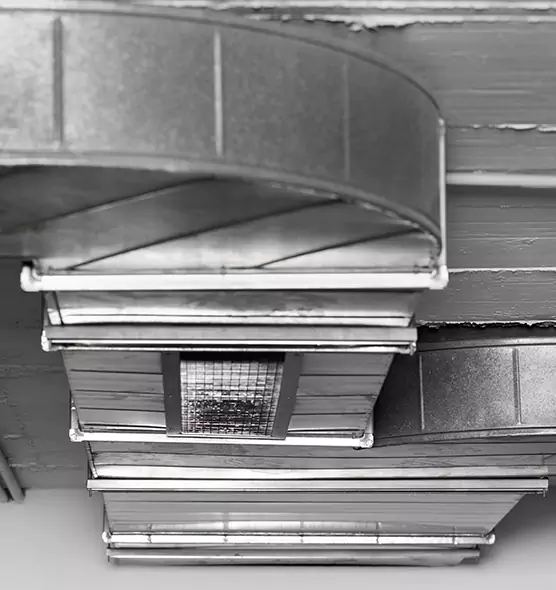 Professional Air Duct Pest Removal in Beltsville, MD