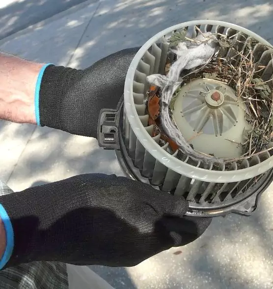 About Air Duct Rat Removal in Beltsville, MD