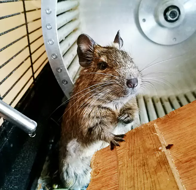 Why Homeowners & Businesses Trust Us Beltsville, MD