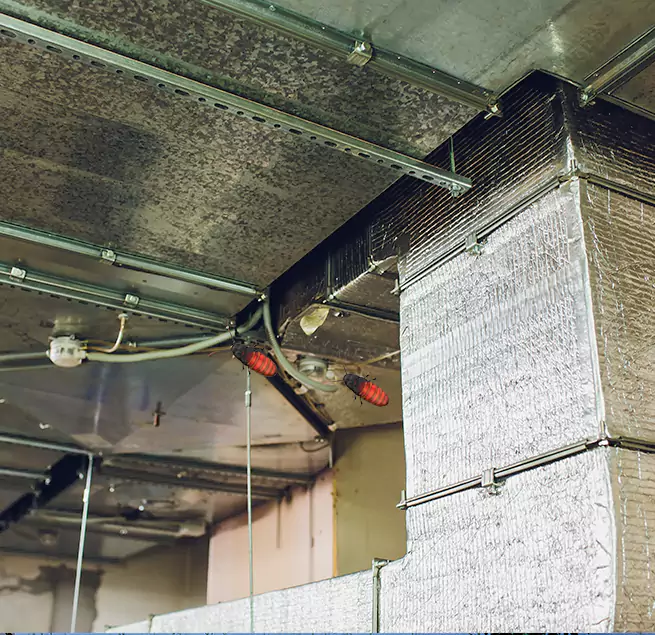 Why Homeowners & Businesses Trust Us Beltsville, MD?