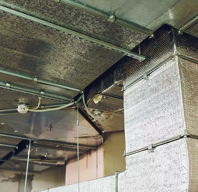 Why Homeowners & Businesses Trust Us in Beltsville, MD?