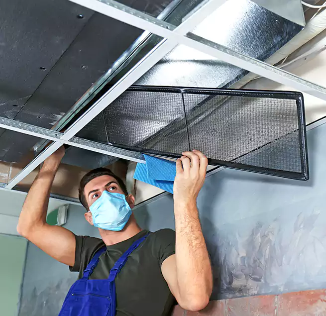 Why Homeowners Businesses Trust Us in Beltsville, MD