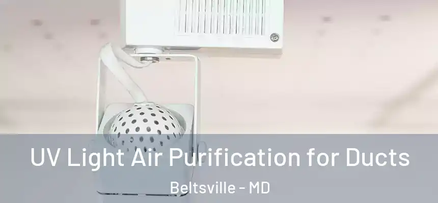  UV Light Air Purification for Ducts Beltsville - MD